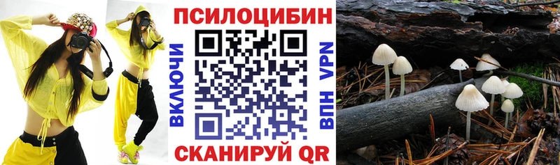 как найти закладки  Талица  Галлюциногенные грибы мухоморы 